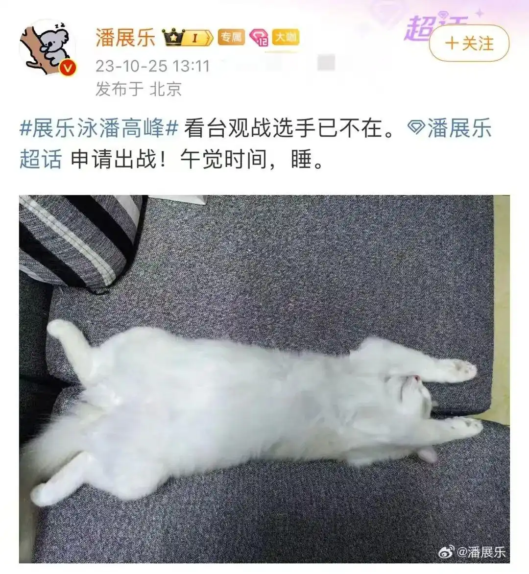 奥运游泳爻运动员冠军_赤见打奥运游泳冠军名一_奥运游泳女冠军视频